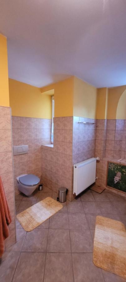 Stylowy Apartament Na Ptasiej Gorze Еленя-Гура Экстерьер фото
